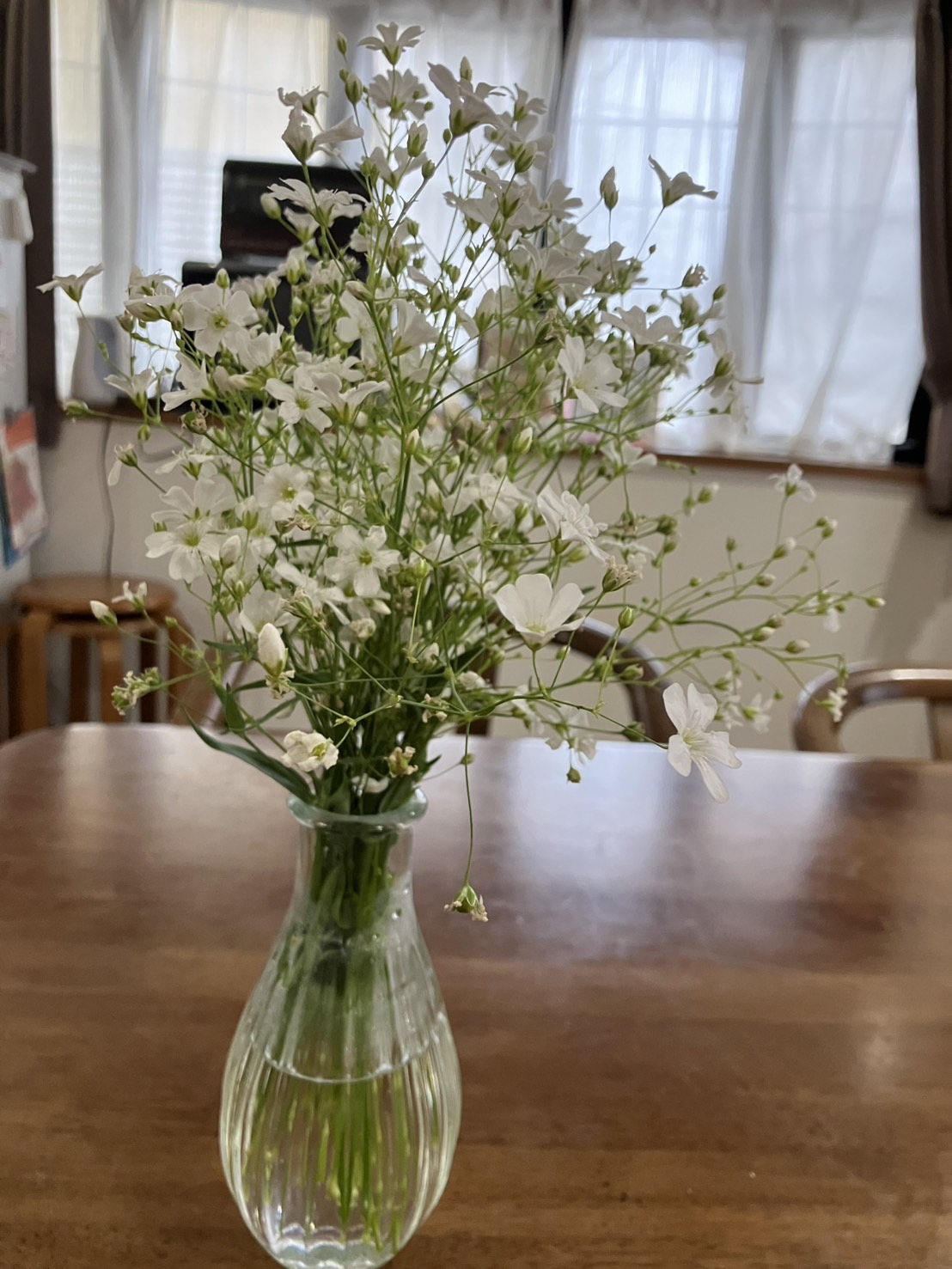 人の心に寄り添ってくれる植物という存在
