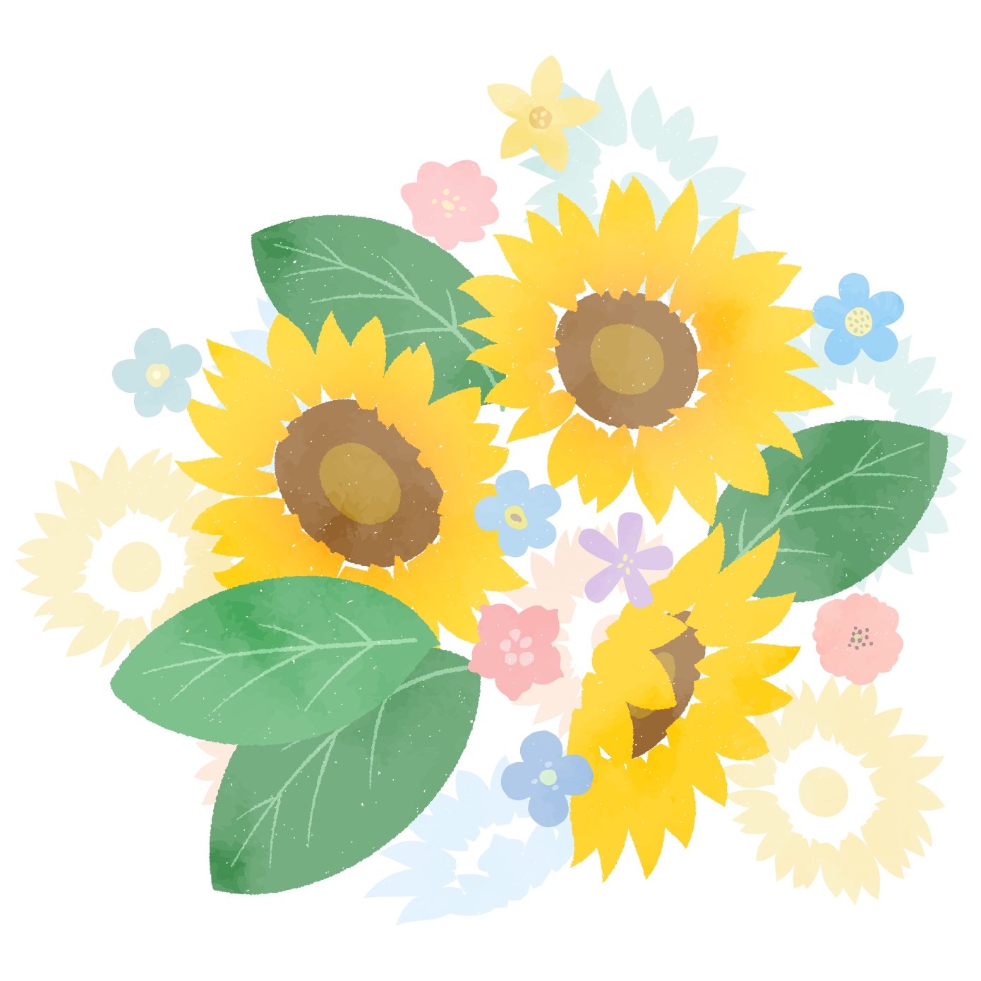 🌻夏を彩るお花たちの雑学🌺
