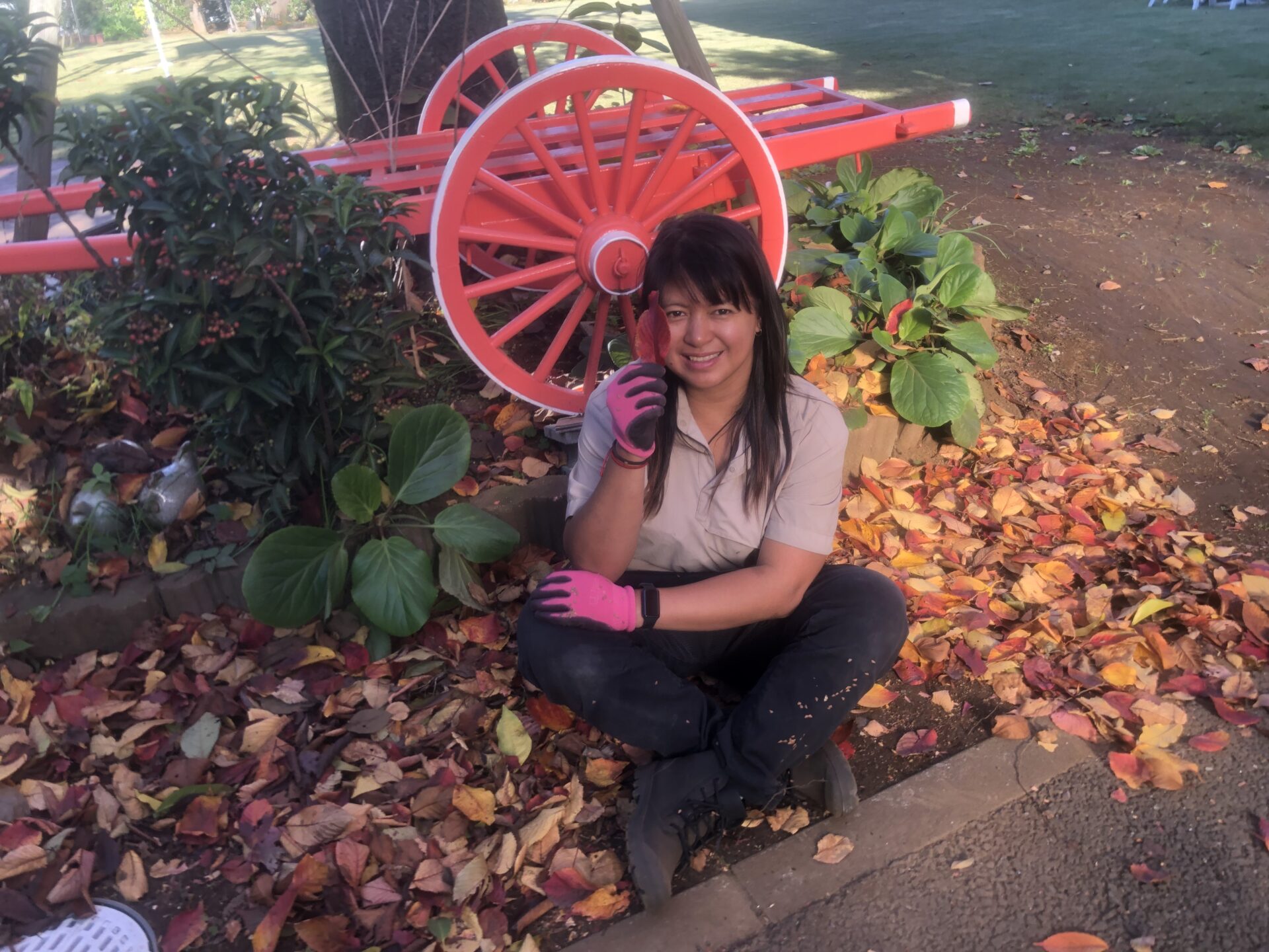 秋なのに気温は冬 :)