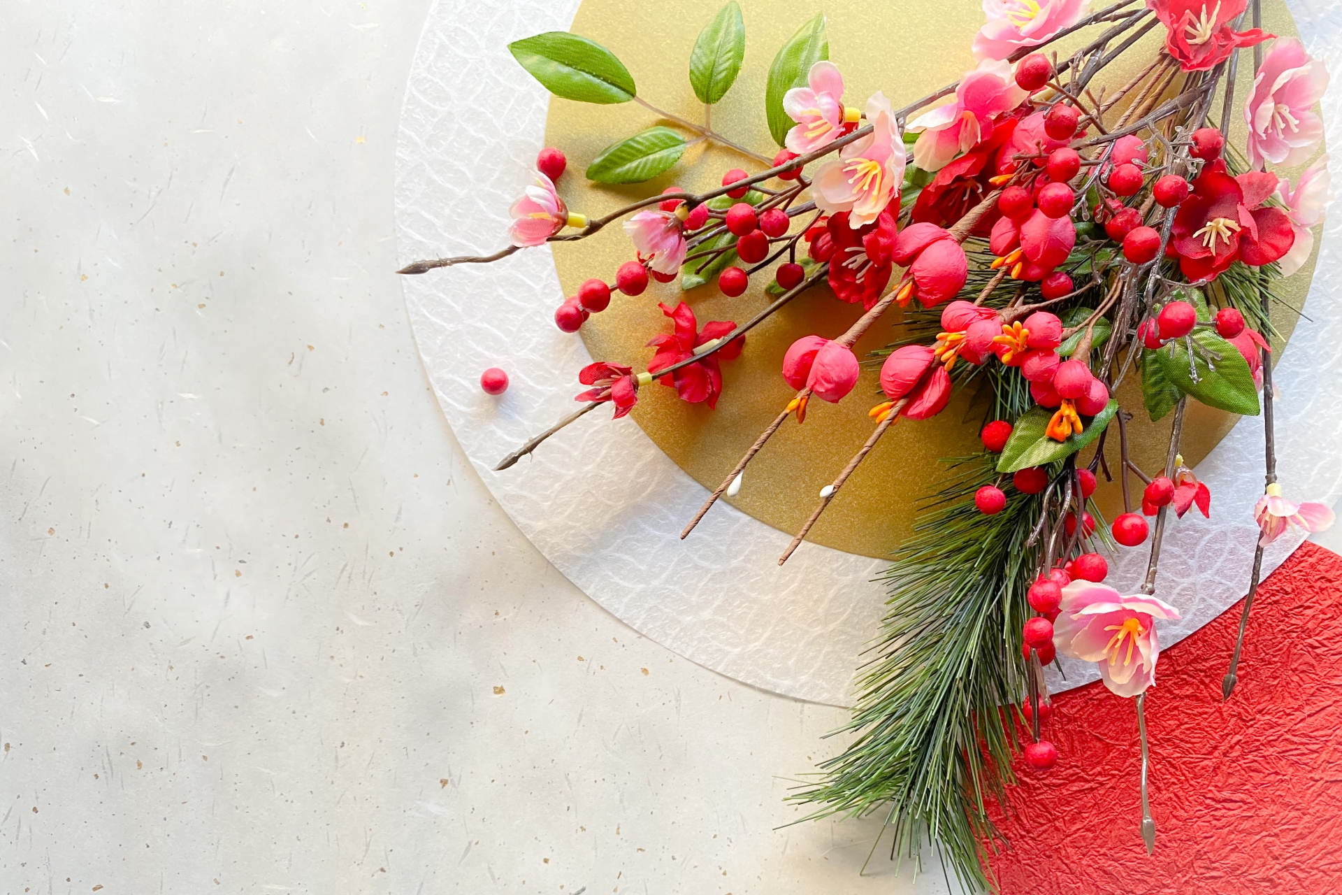 お正月にまつわる植物豆知識🌱
