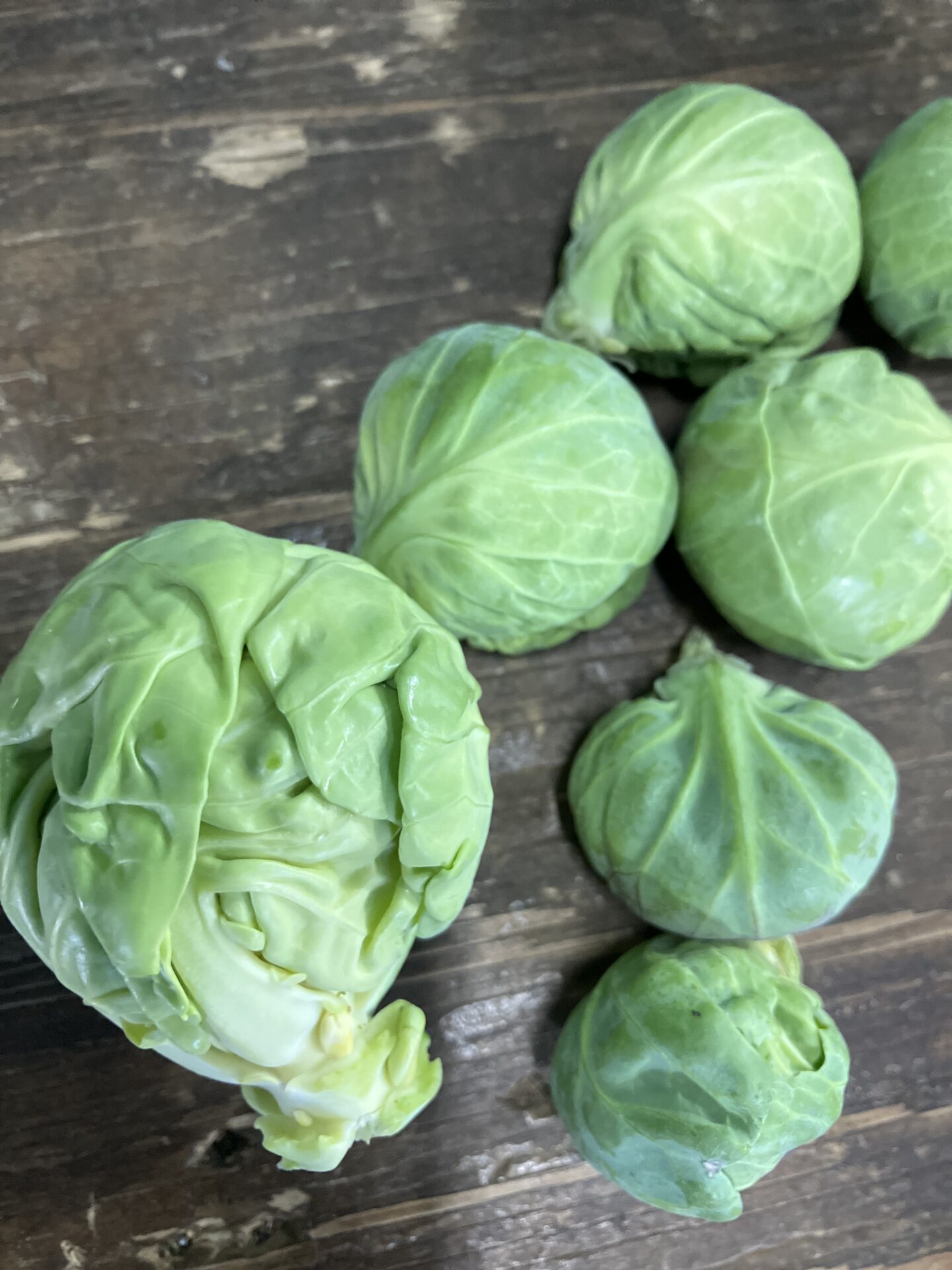 旬の野菜　芽キャベツ