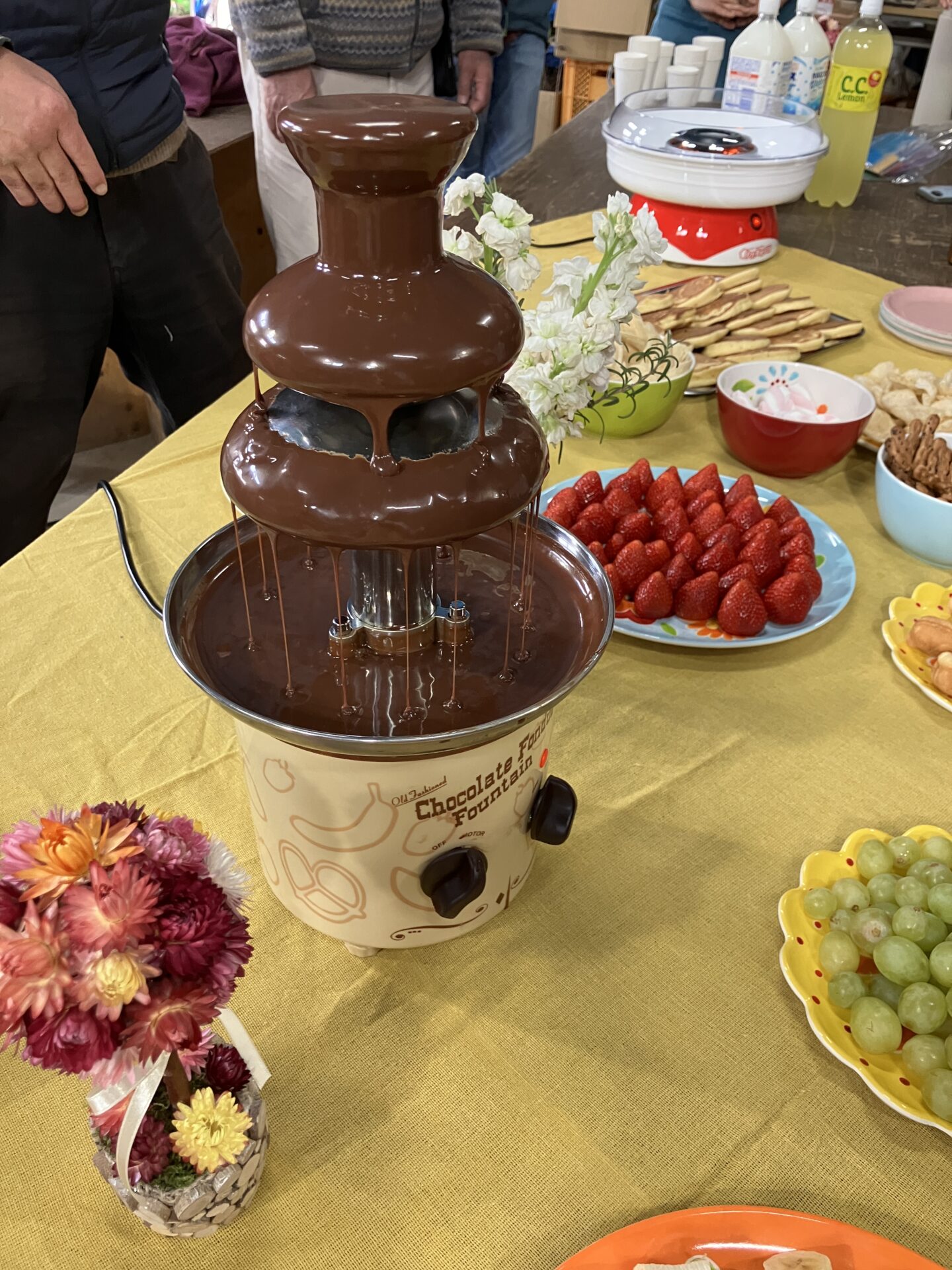 チョコレートイベント