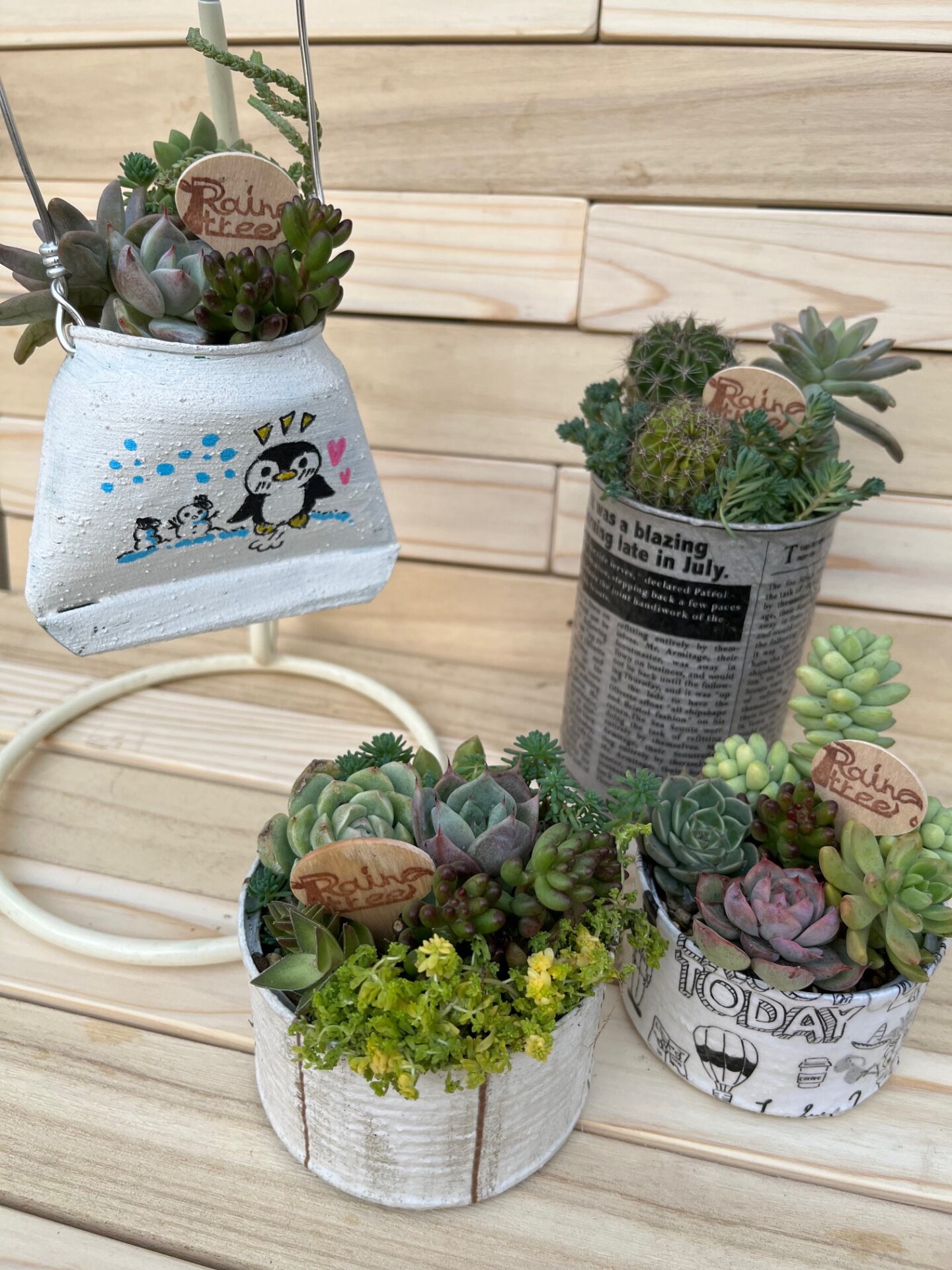 セダムの寄せ植え「多肉缶」