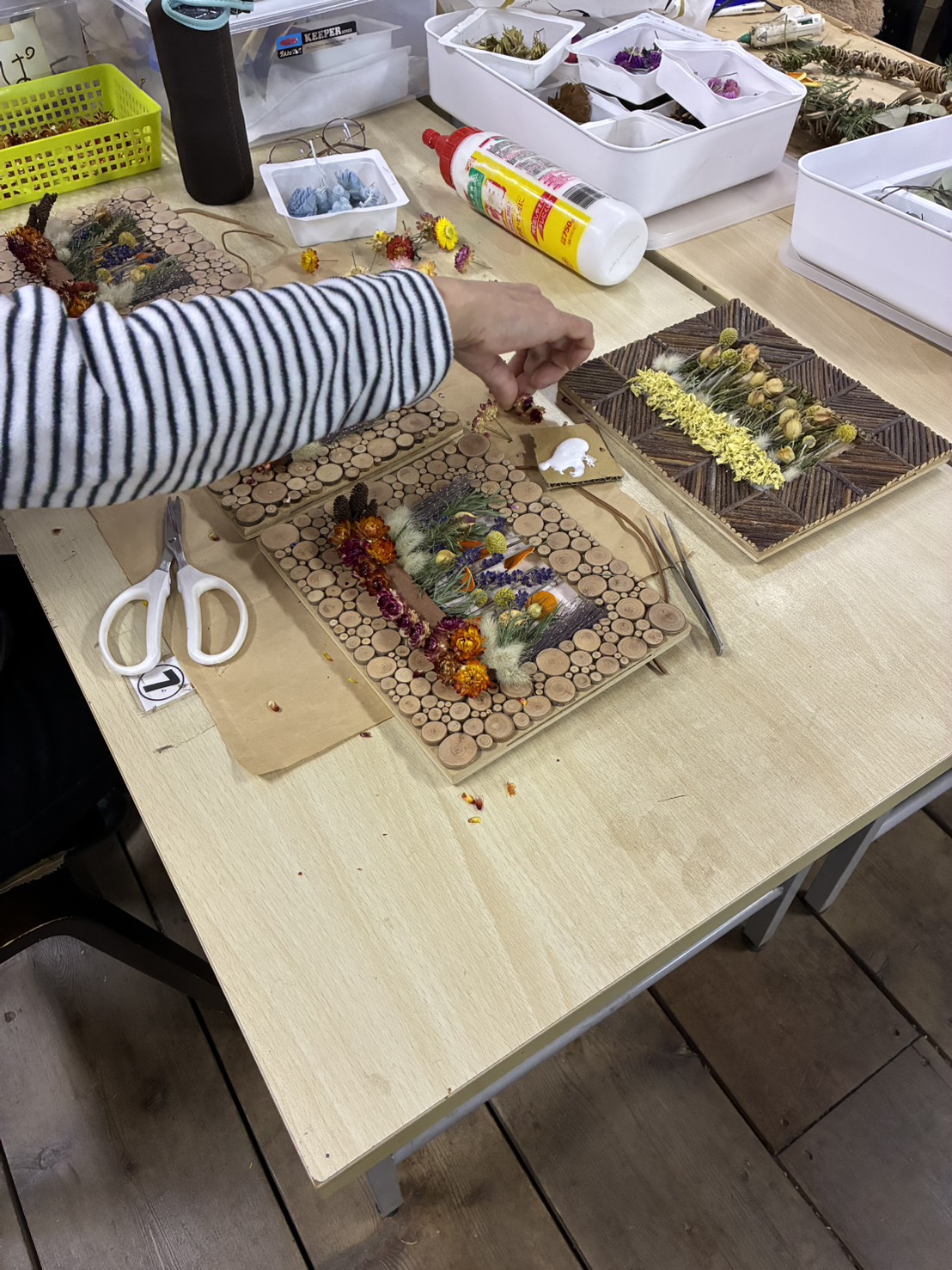 3月の販売会に向けて