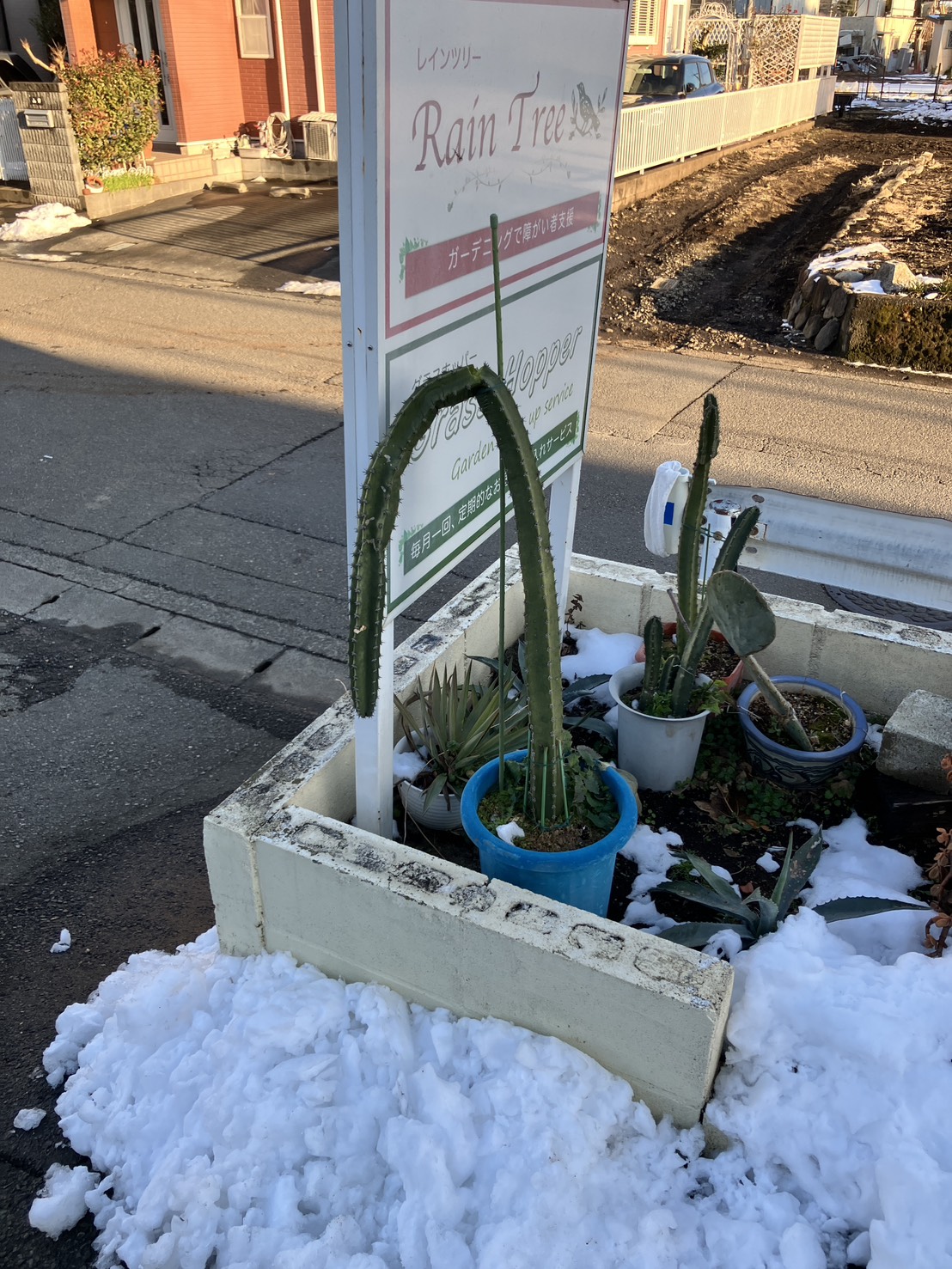 雪かきの朝に、心が温まる小さな贈りもの