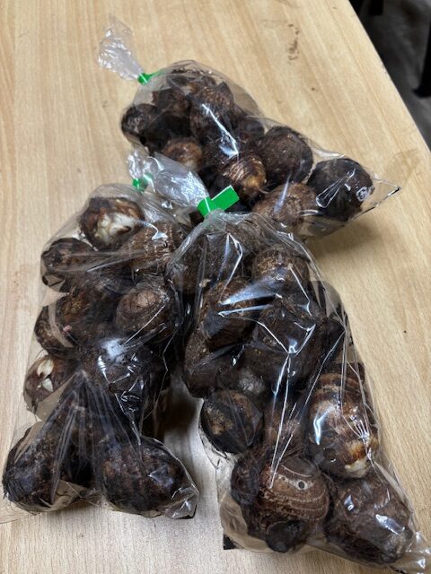 里芋の袋詰め作業