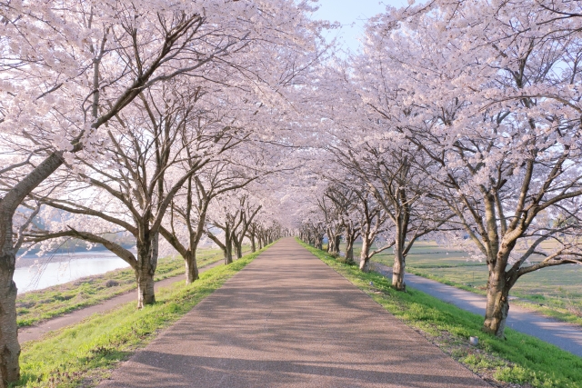 もうすぐ4月ですね
