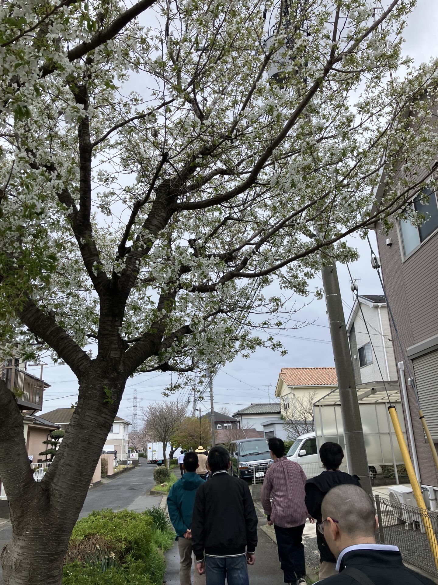 就職おめでとう