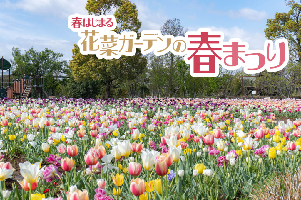 春はじまる 花菜ガーデンの春まつり2026　