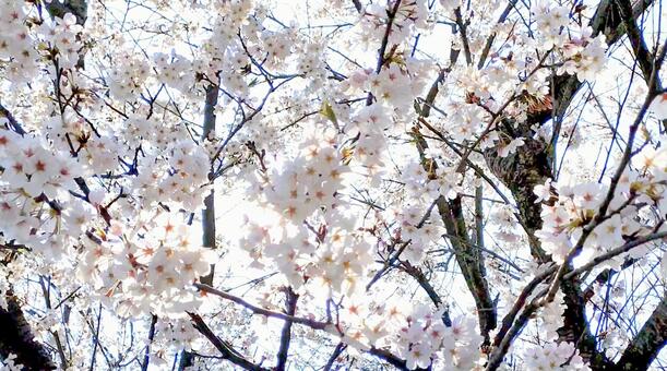 春の熱中症もご注意