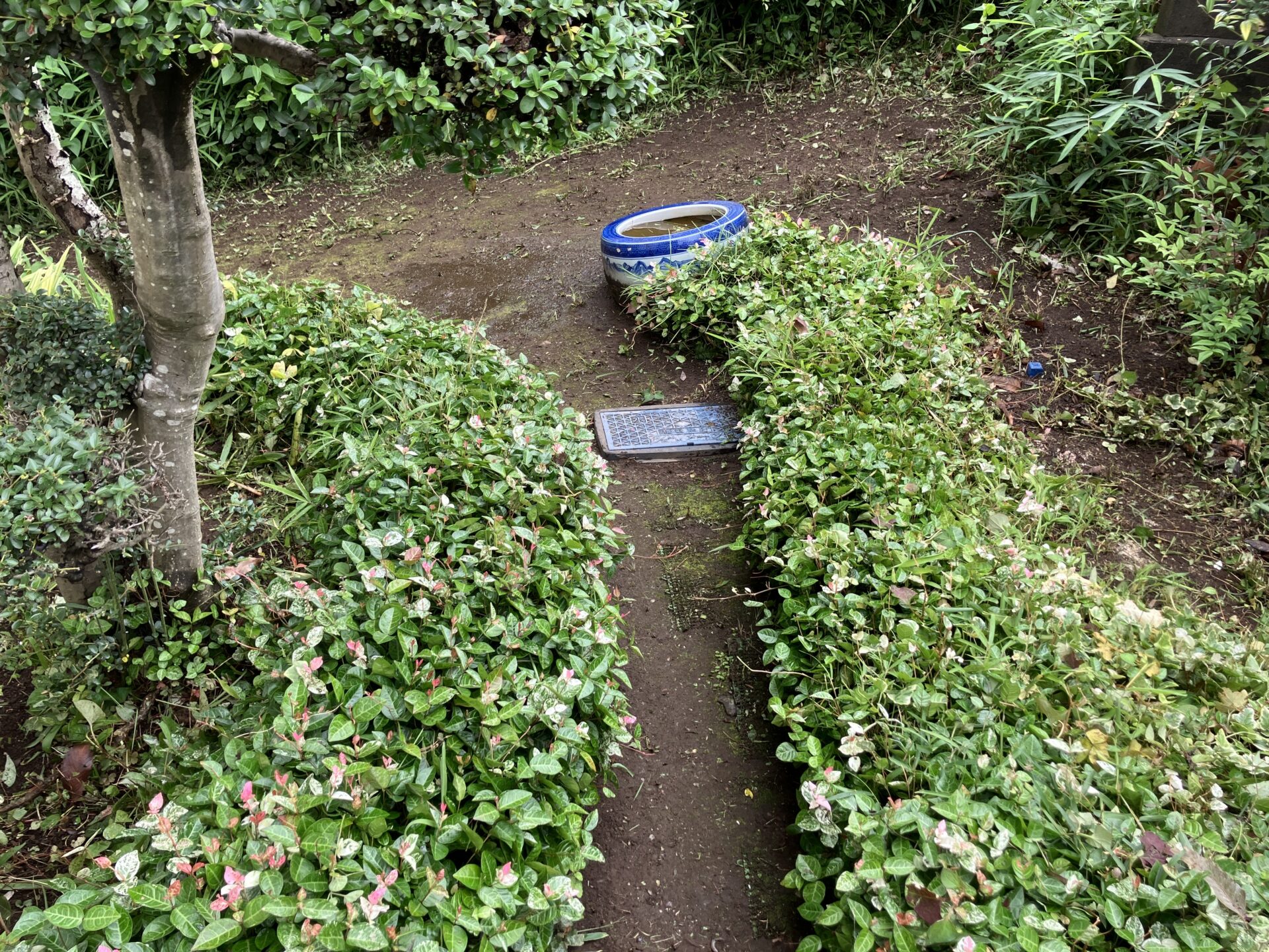 道　ひとにわ作業