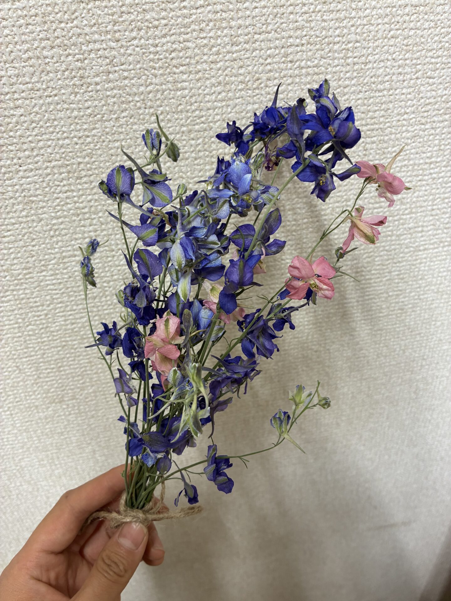 今日の誕生花は「キンギョソウ」