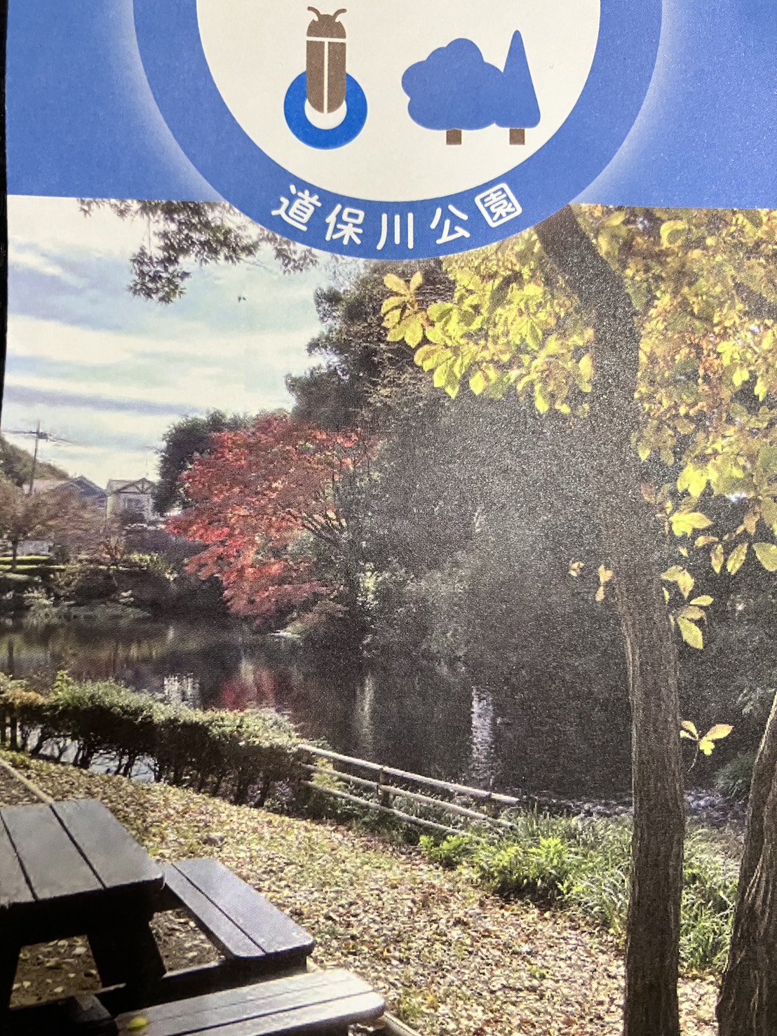 みんなで道保川公園へ散歩に行きました♪